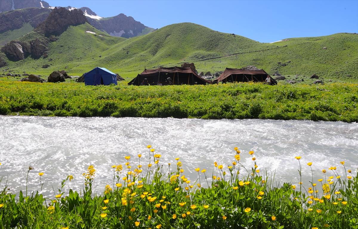 Hakkari'de aynı anda 2 mevsim! Bir yanda buzullar bir yanda bahar çiçekleri