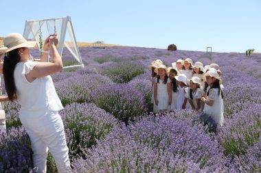 Fotoğraf çektirmek için yurt dışından geliyorlar! Tekirdağ'da lavanta tarlası hareketliliği