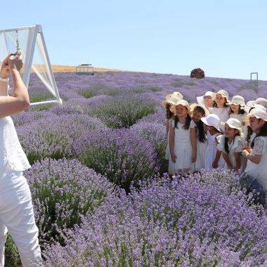 Fotoğraf çektirmek için yurt dışından geliyorlar! Tekirdağ'da lavanta tarlası hareketliliği
