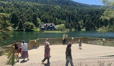 Bolu'da sıcak havadan kaçışın adresi: Gölcük Tabiat Parkı