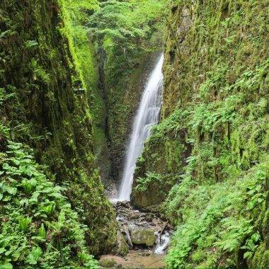 Ormanın derinliklerindeki saklı cennet: Kocaeli Nüzhetiye Şelalesi