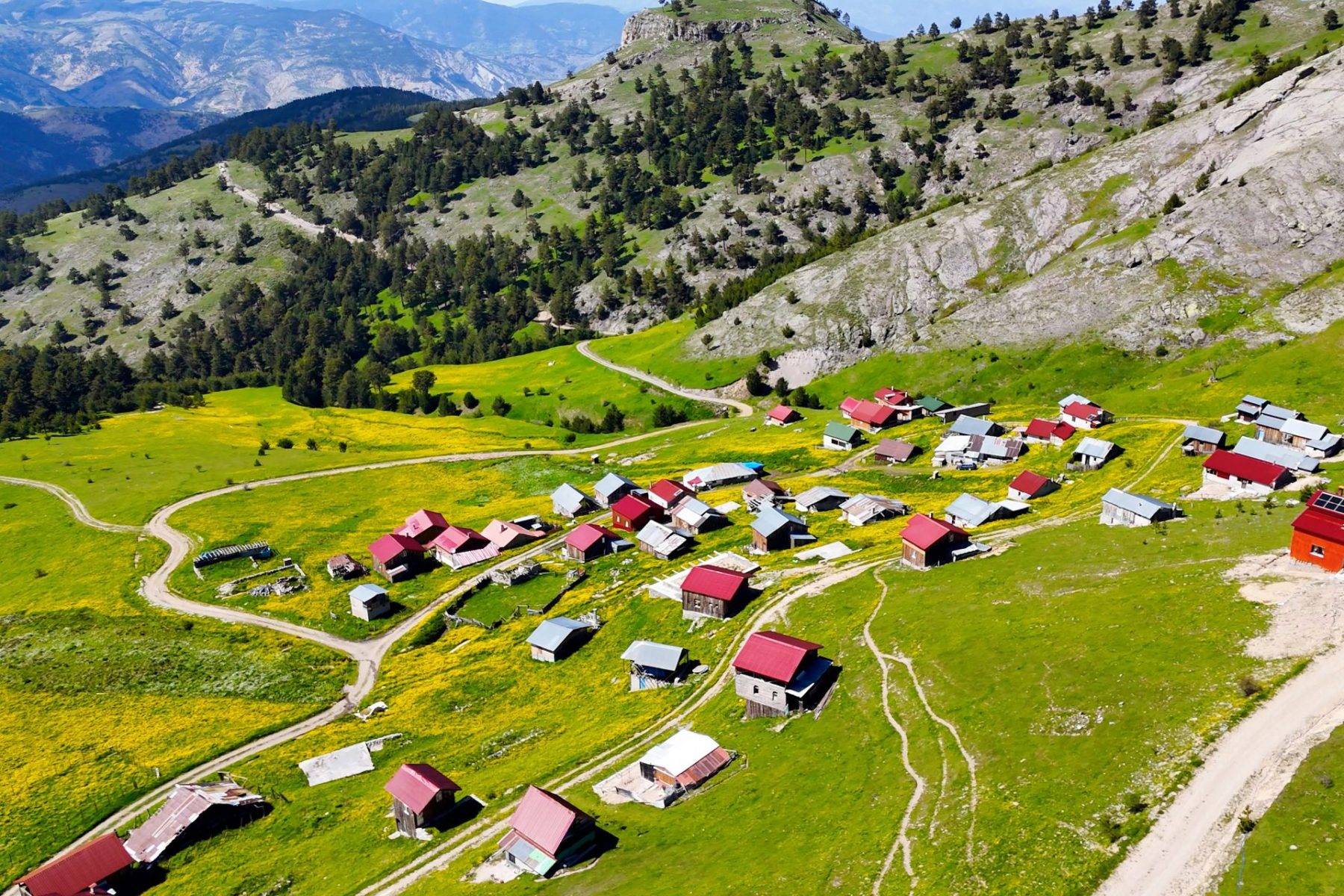 300 yıllık yaylaya ilkbahar ulaştı, kartpostallık görüntüler oluştu