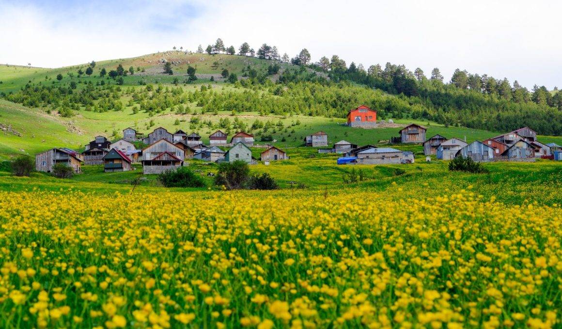 300 yıllık yaylaya ilkbahar ulaştı, kartpostallık görüntüler oluştu