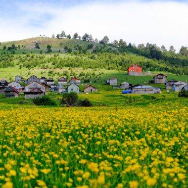 300 yıllık yaylaya ilkbahar ulaştı, kartpostallık görüntüler oluştu