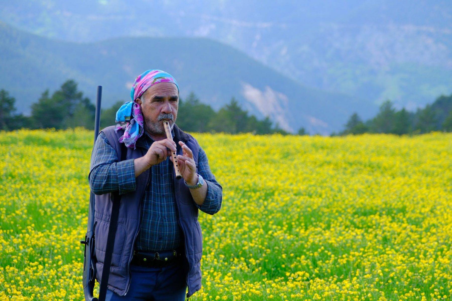 300 yıllık yaylaya ilkbahar ulaştı, kartpostallık görüntüler oluştu