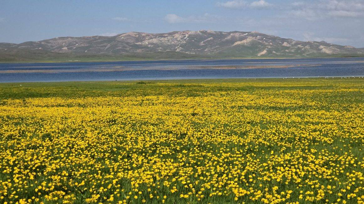Van'da 2 bin 800 yıl önce yapılan gölde mest eden manzaralar