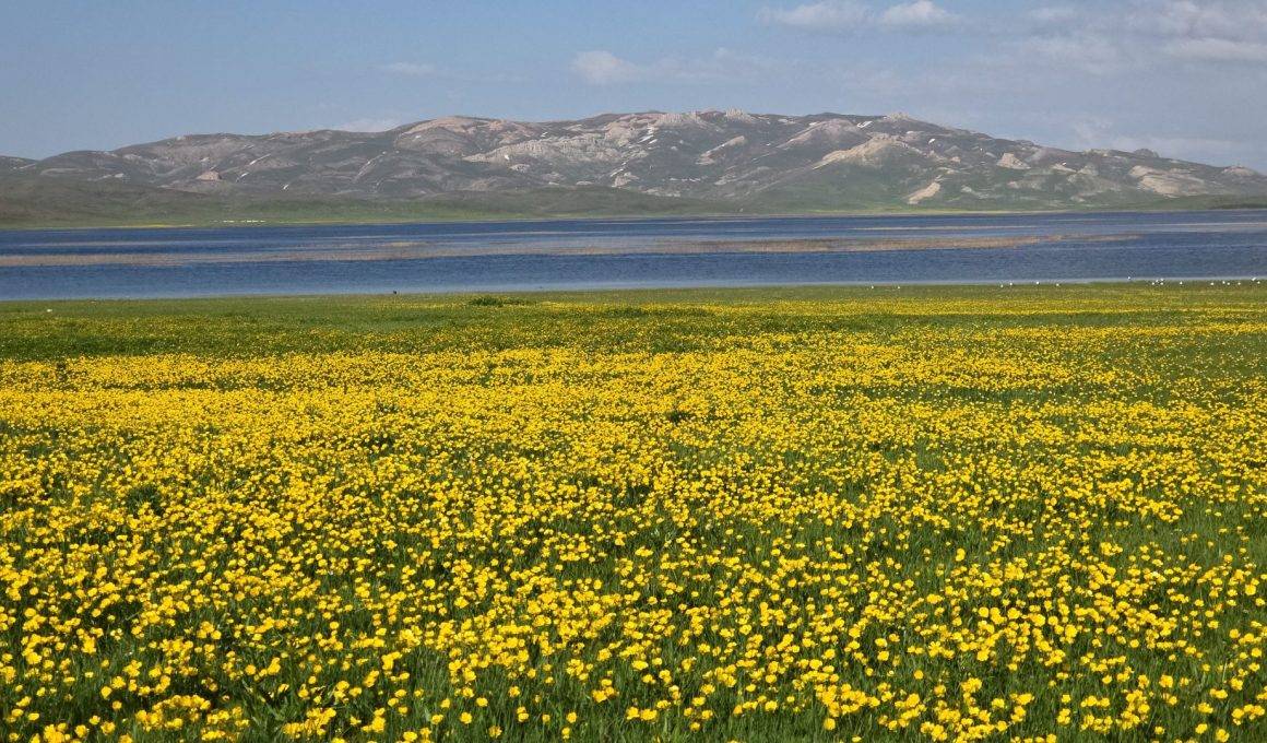 Van'da 2 bin 800 yıl önce yapılan gölde mest eden manzaralar