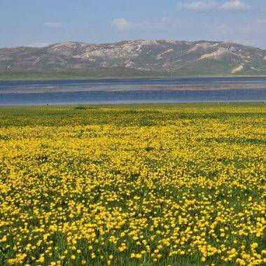 Van'da 2 bin 800 yıl önce yapılan gölde mest eden manzaralar