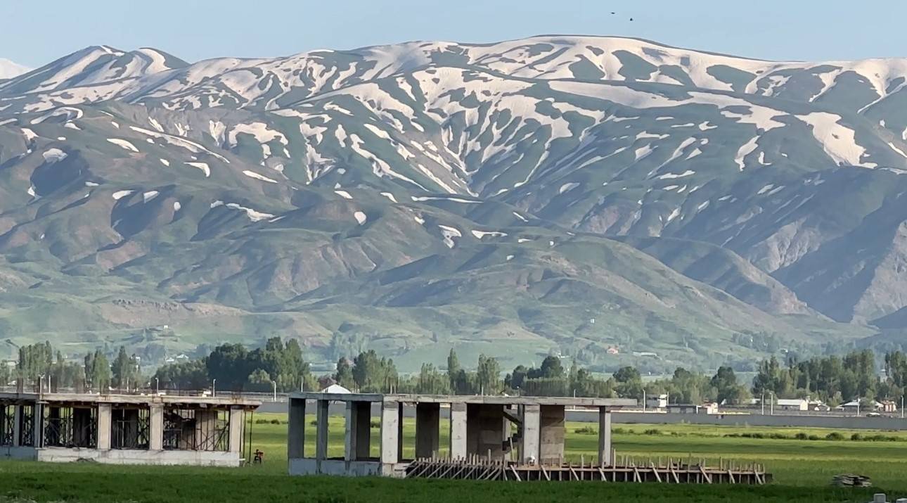 Gören bir daha baktı! Yüksekova'da dağlar zebra deseniyle kaplandı