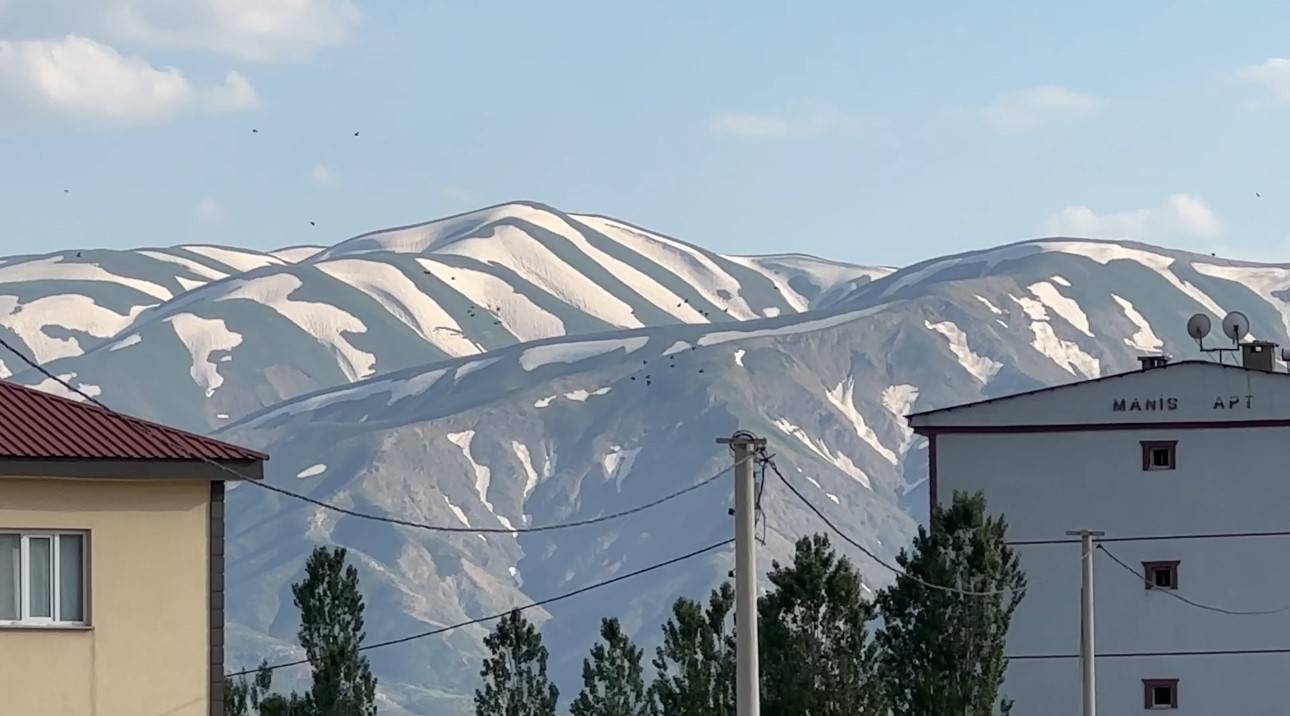 Gören bir daha baktı! Yüksekova'da dağlar zebra deseniyle kaplandı