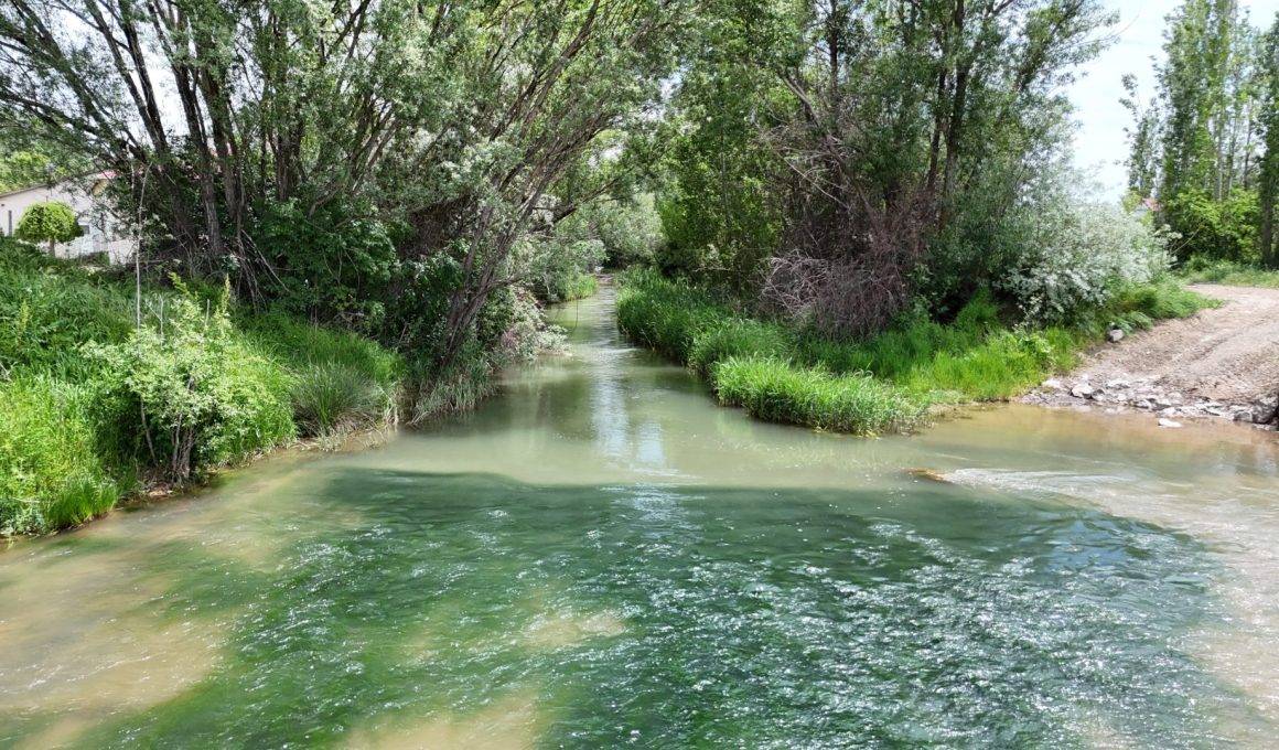 Türkülere konu olmuştu: Sivas'ın ünlü ırmağından sevindiren haber