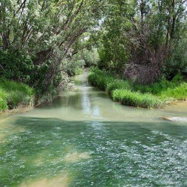 Türkülere konu olmuştu: Sivas'ın ünlü ırmağından sevindiren haber