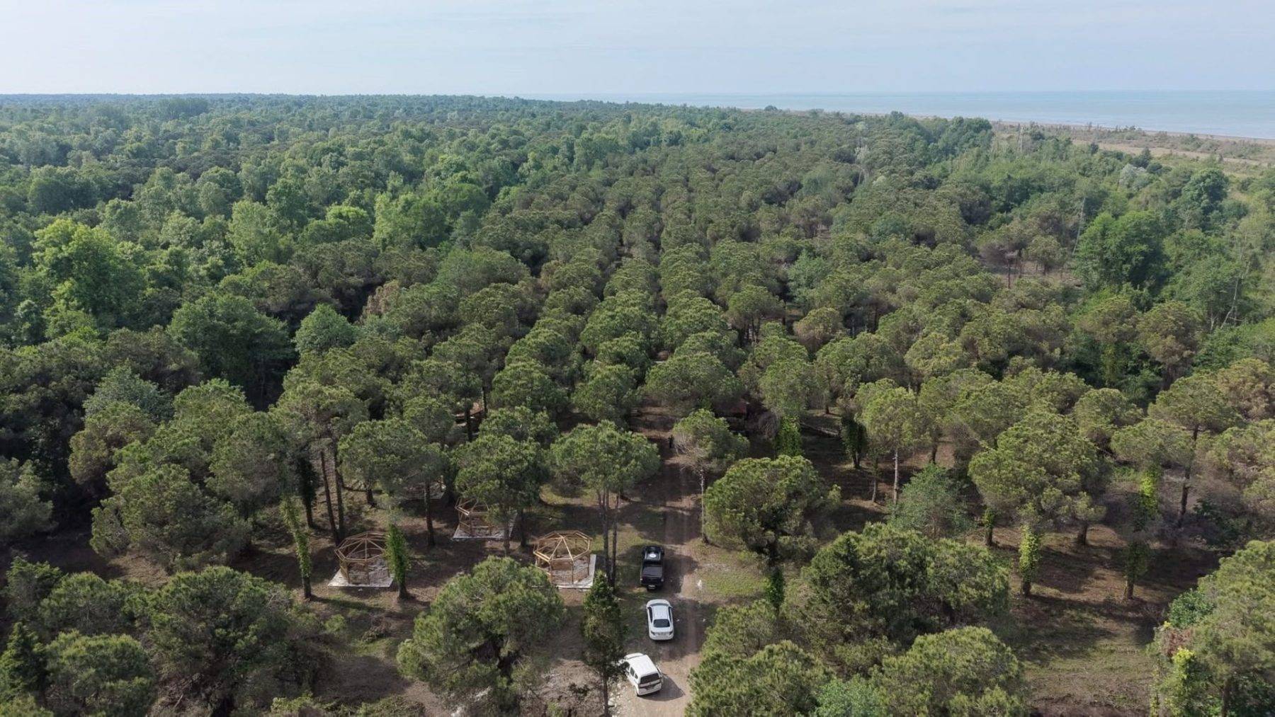 Amazon değil Samsun! Terme yeni tabiat parkı için gün sayıyor