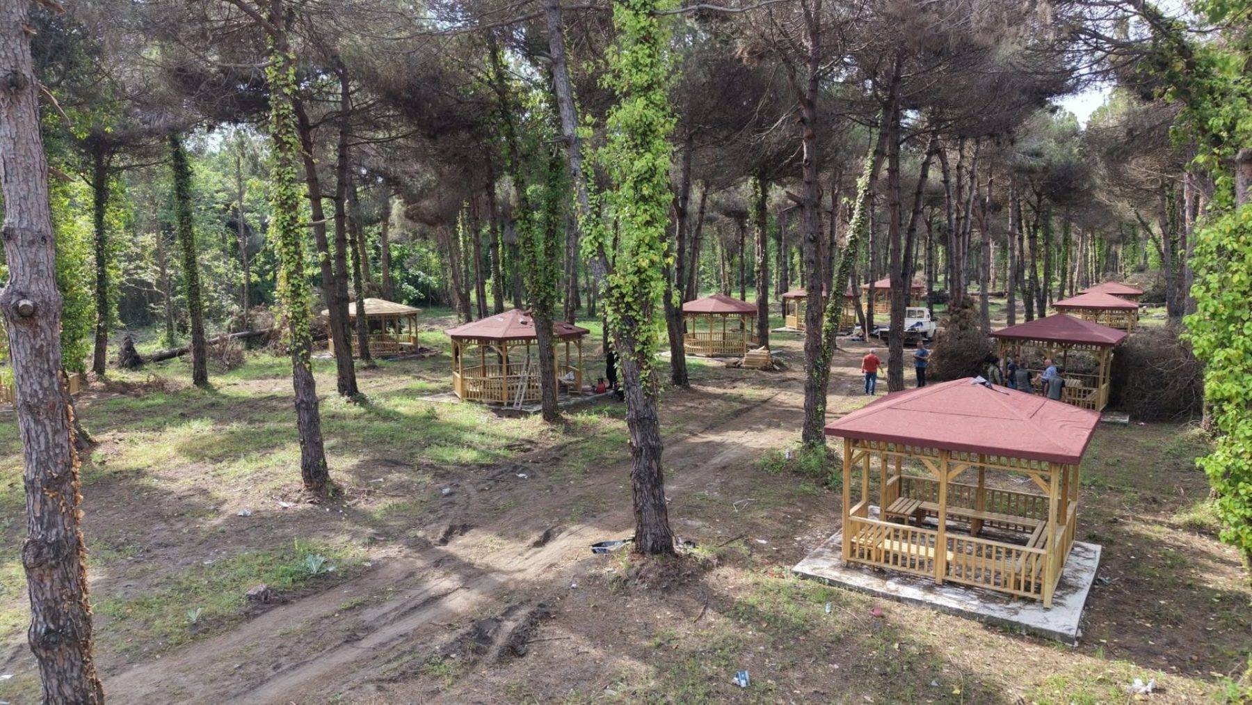 Amazon değil Samsun! Terme yeni tabiat parkı için gün sayıyor