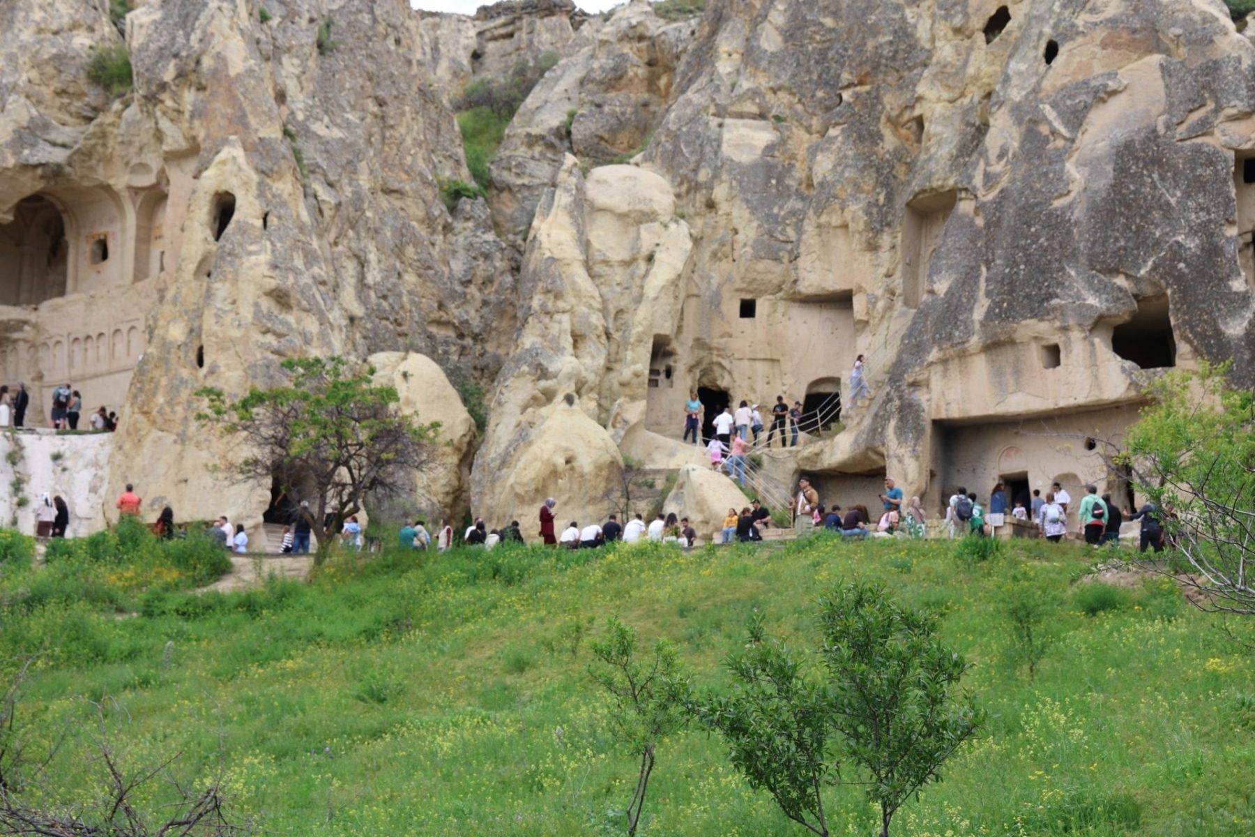 Kapadokya'ya yaz geldi, Peri bacaları yeşile büründü