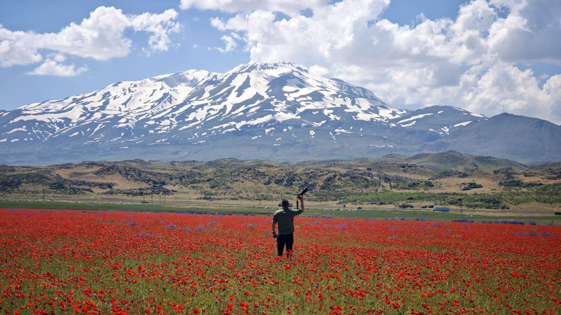 Gülistan Ovası kırmızı örtüyle kaplandı, Süphan Dağı manzarasıyla mest etti