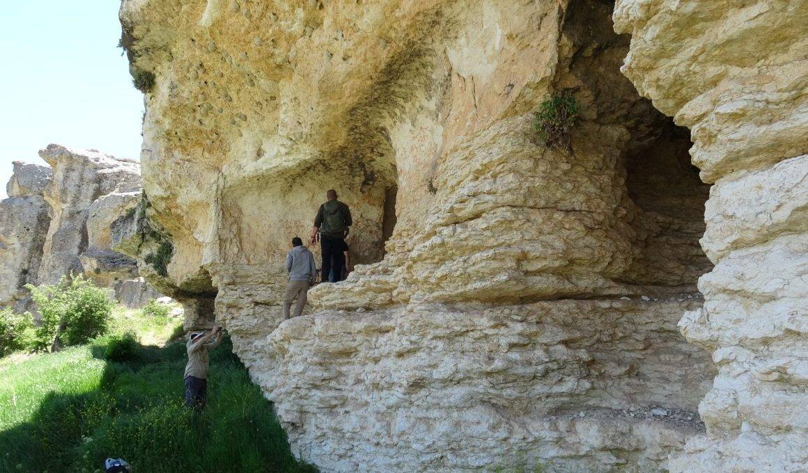Dikkat çeken el detayı! Anadolu'daki resimli mağarada yeni bulgular