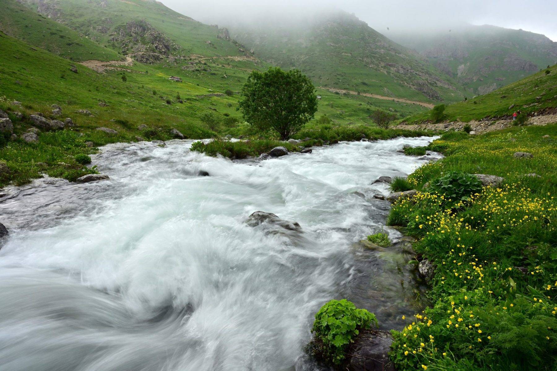 Görenin İsviçre sandığı Karadeniz yaylası mest etti! Dulağa Yaylası baharda coştu