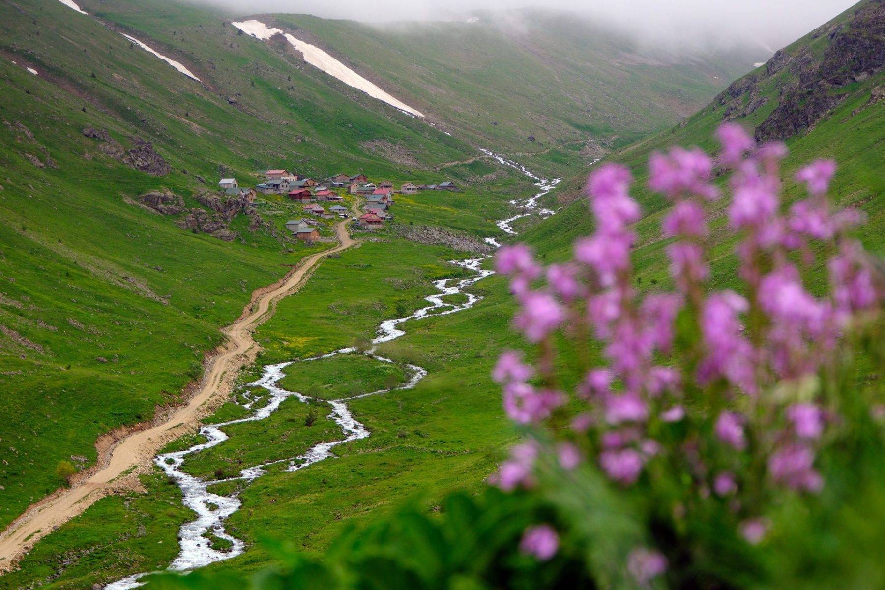 Görenin İsviçre sandığı Karadeniz yaylası mest etti! Dulağa Yaylası baharda coştu