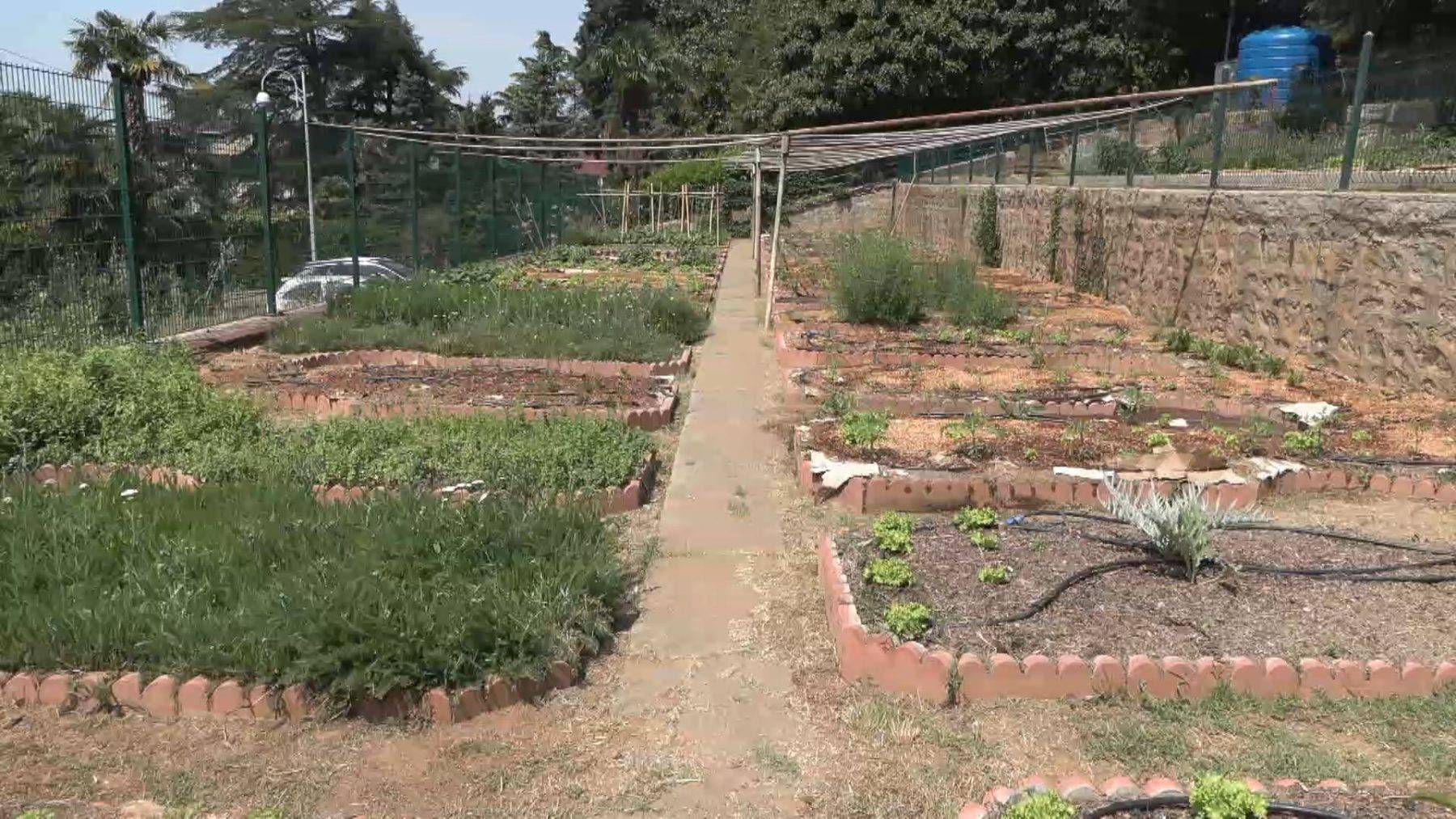 Beykoz Cam ve Billur Müzesi'nde Kompost Üretim Merkezi açıldı