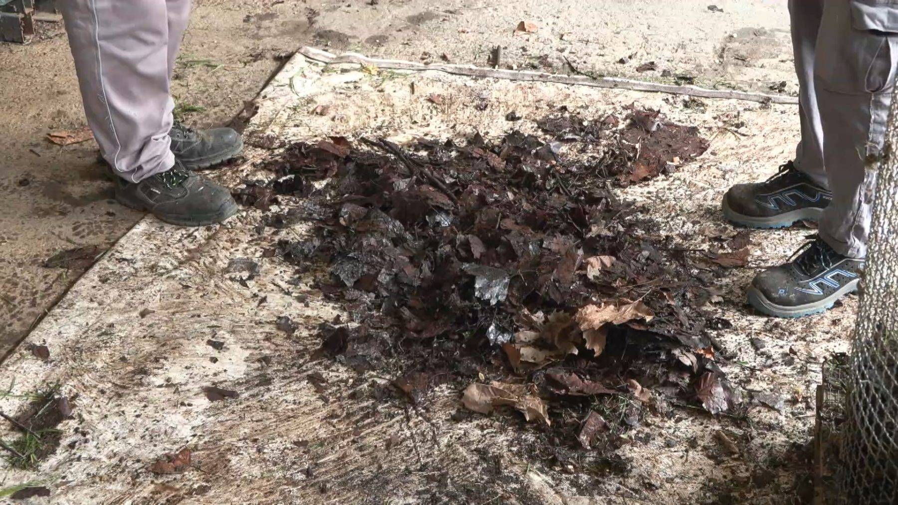 Beykoz Cam ve Billur Müzesi'nde Kompost Üretim Merkezi açıldı