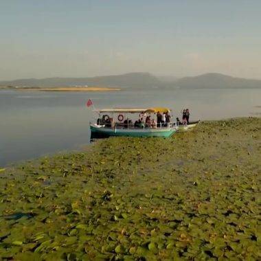 Konya'da inci gibi açan nilüferler tekne turları ile keşfediliyor