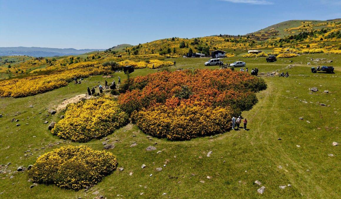 Kırkkızlar Obası