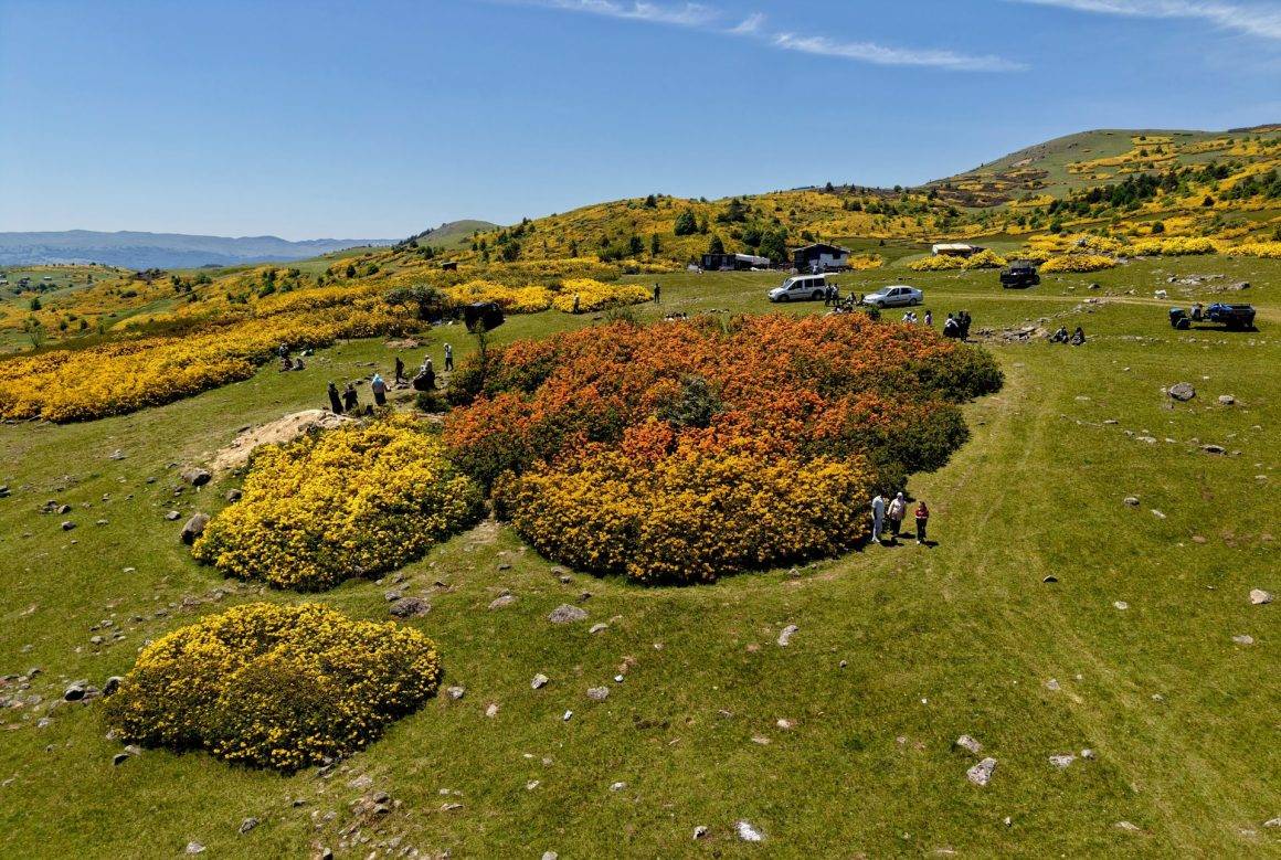 Kırkkızlar Obası