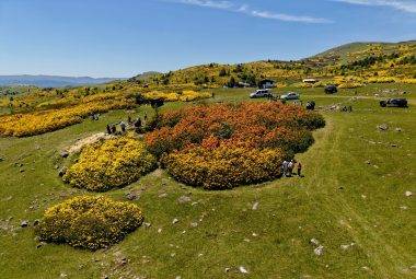 Kırkkızlar Obası