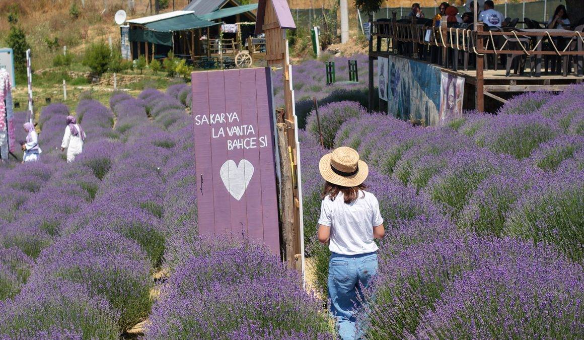 Sakarya'da Türkiye Kültür Yolu Festivali heyecanı başladı