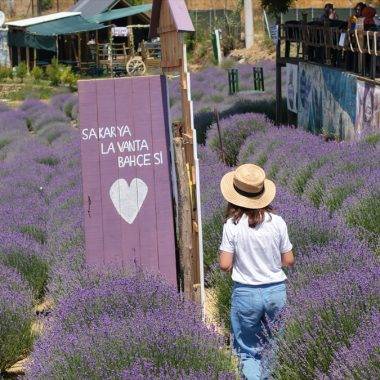 Sakarya'da Türkiye Kültür Yolu Festivali heyecanı başladı