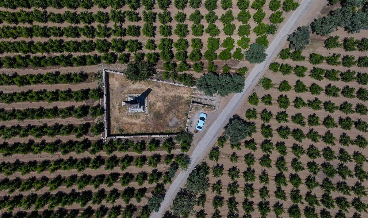 Gören anlam veremiyor! Zeytin bahçeleri ortasında 2 bin yıllık anıt mezar
