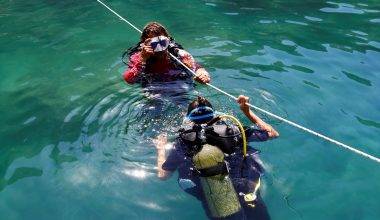 Yüzlerce dalış noktası turistleri bekliyor! Su altı turizminin yeni gözdesi: Antalya