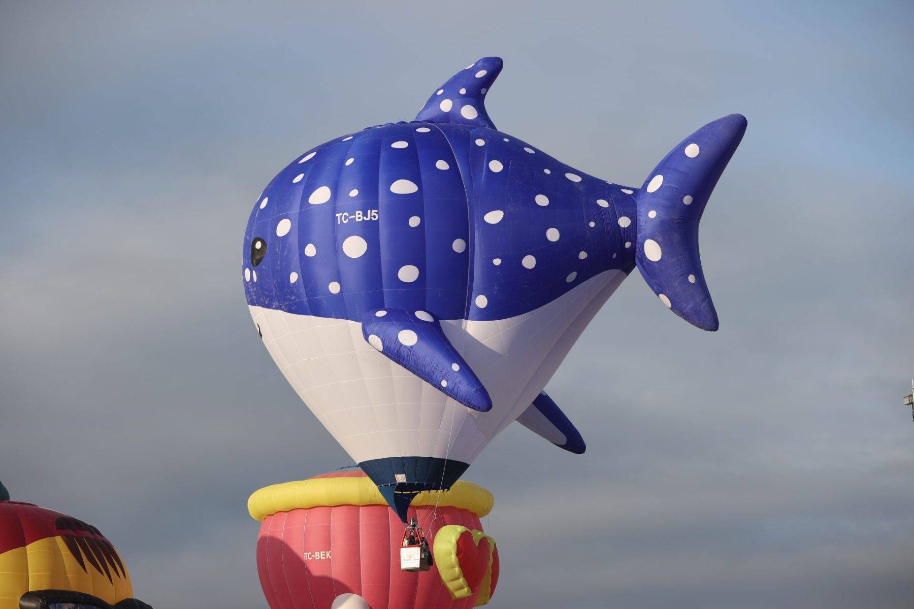 Kurt, baykuş, ahtapot... Kapadokya Balon Festivali coşkuyla başladı