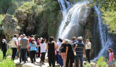 Gurbetçiler Avrupa sıcaklarından kaçışı Erzincan'da buldu