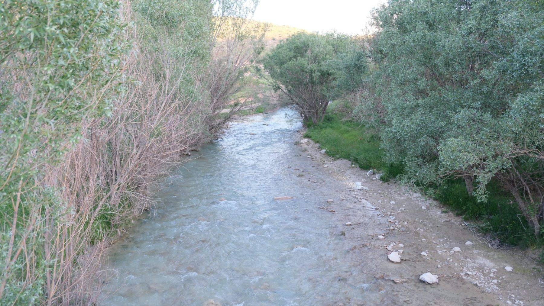 Bozkırın ortasında rüya gibi bir yer: Buğdaylı köyü vahayı andırıyor