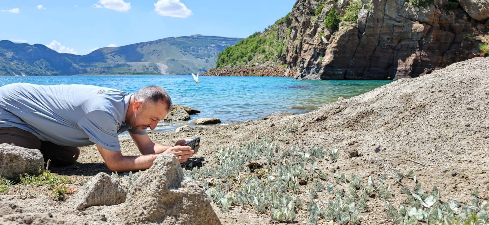 Yer: Bitlis! Şaşırtan doğa olayında yüzlerce kelebek bir araya geldi