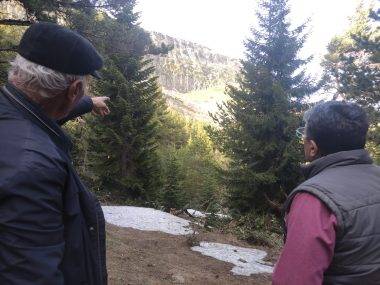 Muhtardan ilginç iddia: Kraliçe Tamara'nın gizemli mezarı Ardahan'da!
