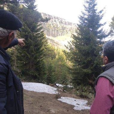 Muhtardan ilginç iddia: Kraliçe Tamara'nın gizemli mezarı Ardahan'da!