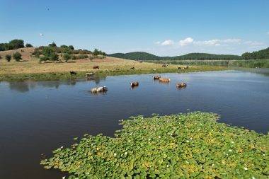 Kuruma noktasına gelmişti: Süleymanlı Yayla Gölü son haliyle göz doldurdu