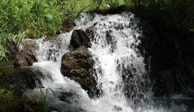 Yılda 1 kez süt aktığına inanılıyor! Trabzon'un 3 asırlık yaşam pınarı: Çamlıbel Irmağı