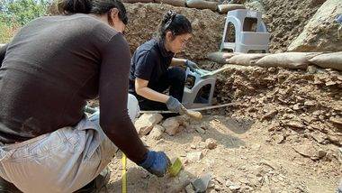 Uzmanlar "normal dışı" dedi: 86 bin yıllık mağarada e-DNA uygulaması yapılacak