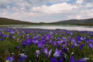 Erzurum'un Mescit Dağı, yeşiliyle doğa tutkunlarını cezbediyor