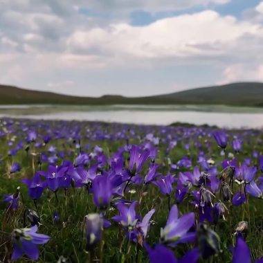 Erzurum'un Mescit Dağı, yeşiliyle doğa tutkunlarını cezbediyor