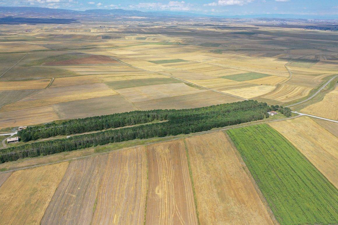 Çölde bir vaha gibi: Kars'ın Benli Ahmet Tren İstasyonu 57 yıllık emeği yansıtıyor