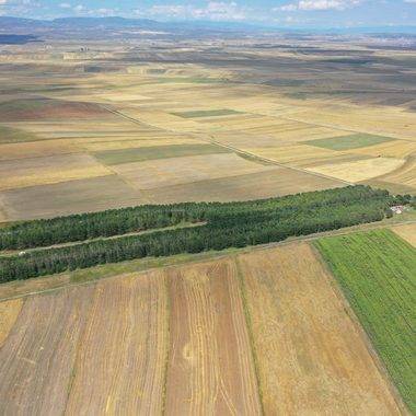 Çölde bir vaha gibi: Kars'ın Benli Ahmet Tren İstasyonu 57 yıllık emeği yansıtıyor