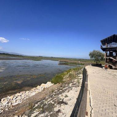 Hafta sonu doğa ile iç içe vakit geçirmek isteyenlerin adresi: Efteni Gölü Kuş Cenneti