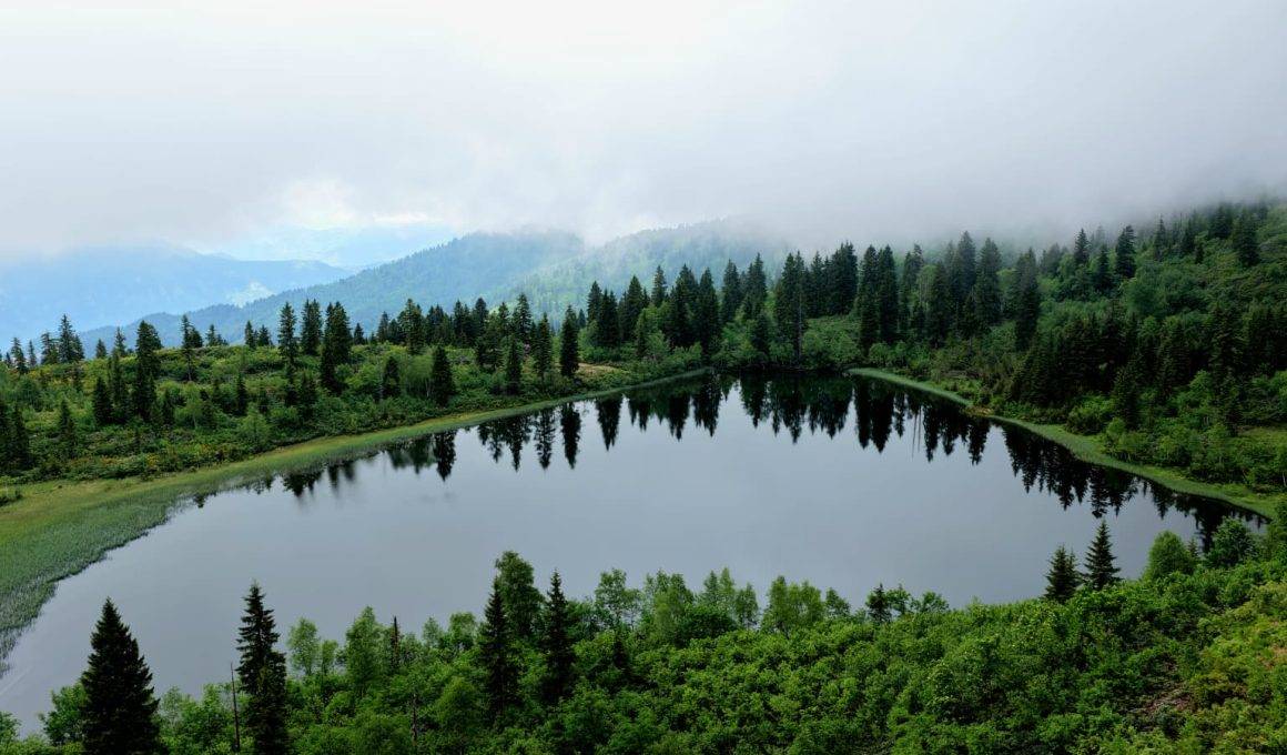 3'ü de aynı şehirde! Artvin'in Karagöl'leri keşfedilmeyi bekliyor