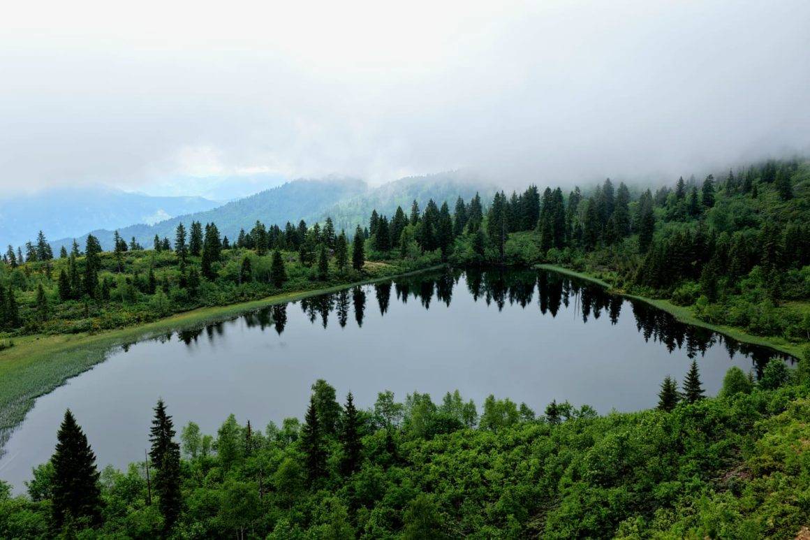 3'ü de aynı şehirde! Artvin'in Karagöl'leri keşfedilmeyi bekliyor