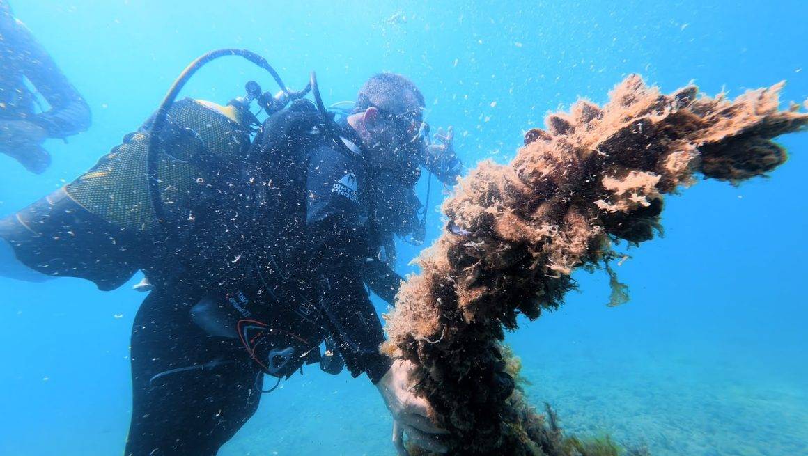 Karadeniz'in derinliklerindeki 2 bin 500 yıllık miras ziyarete açılıyor